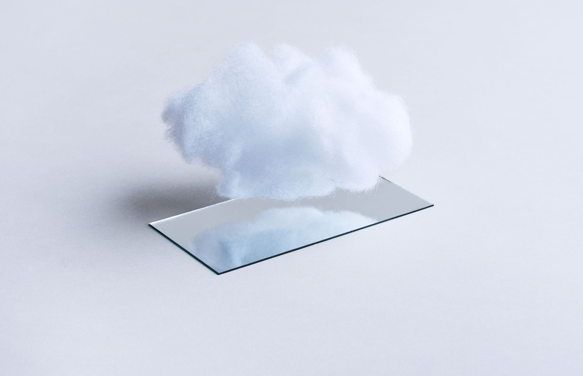 The Download: Flock’s new rules, cloning’s future, and children’s cells